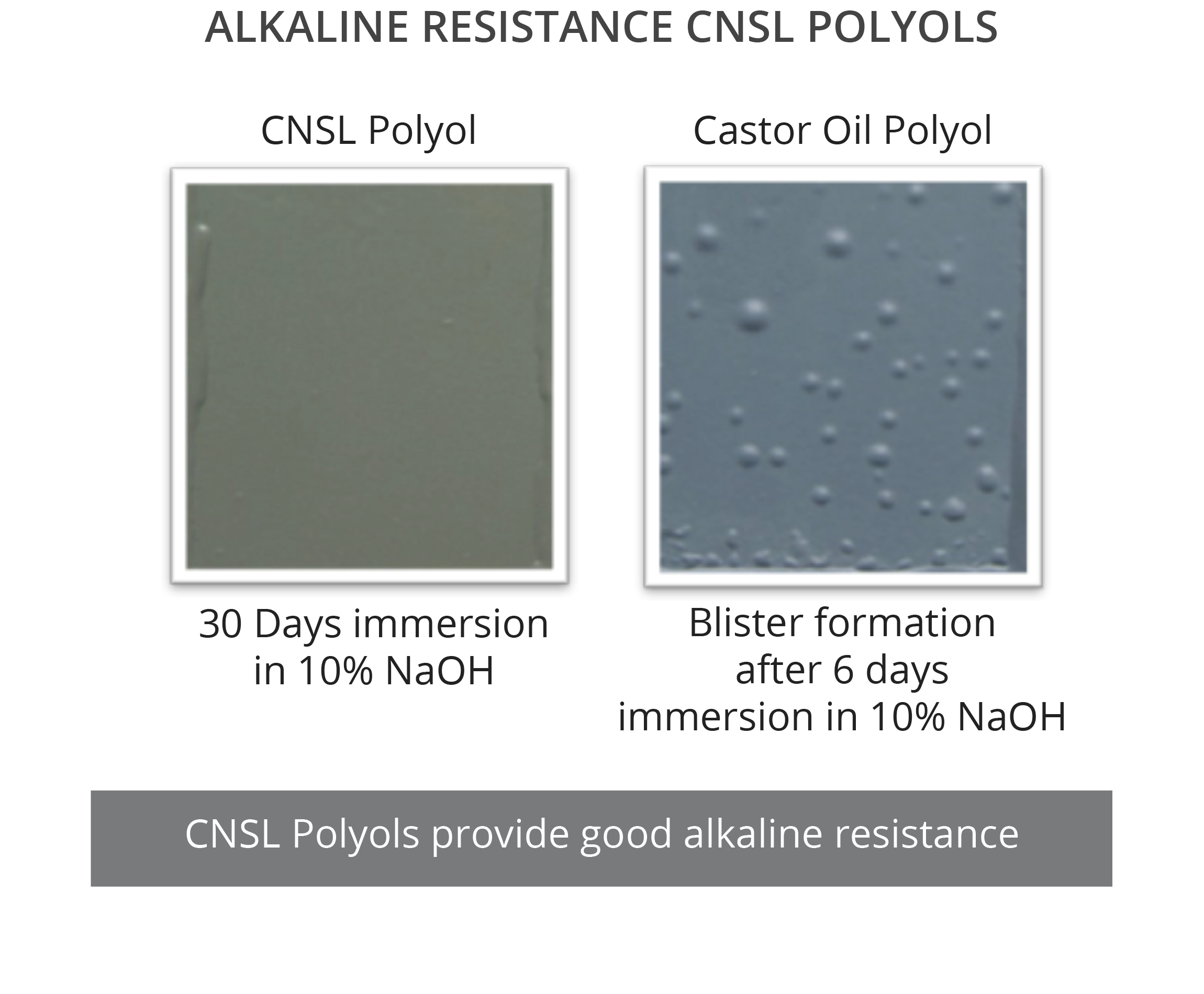 CNSL Polyols provide excellent protection against chemicals, specially alkaline solutions