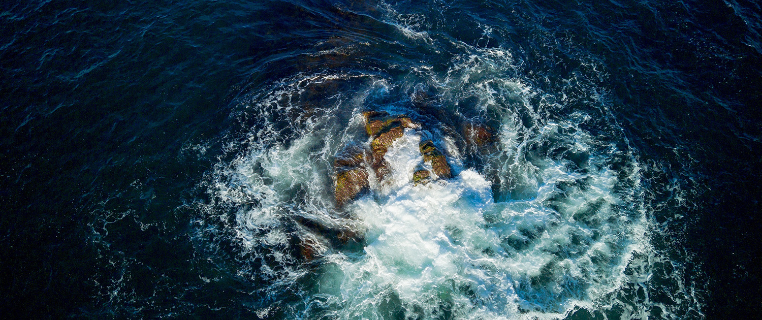 Visit Waterborne Curing Agents