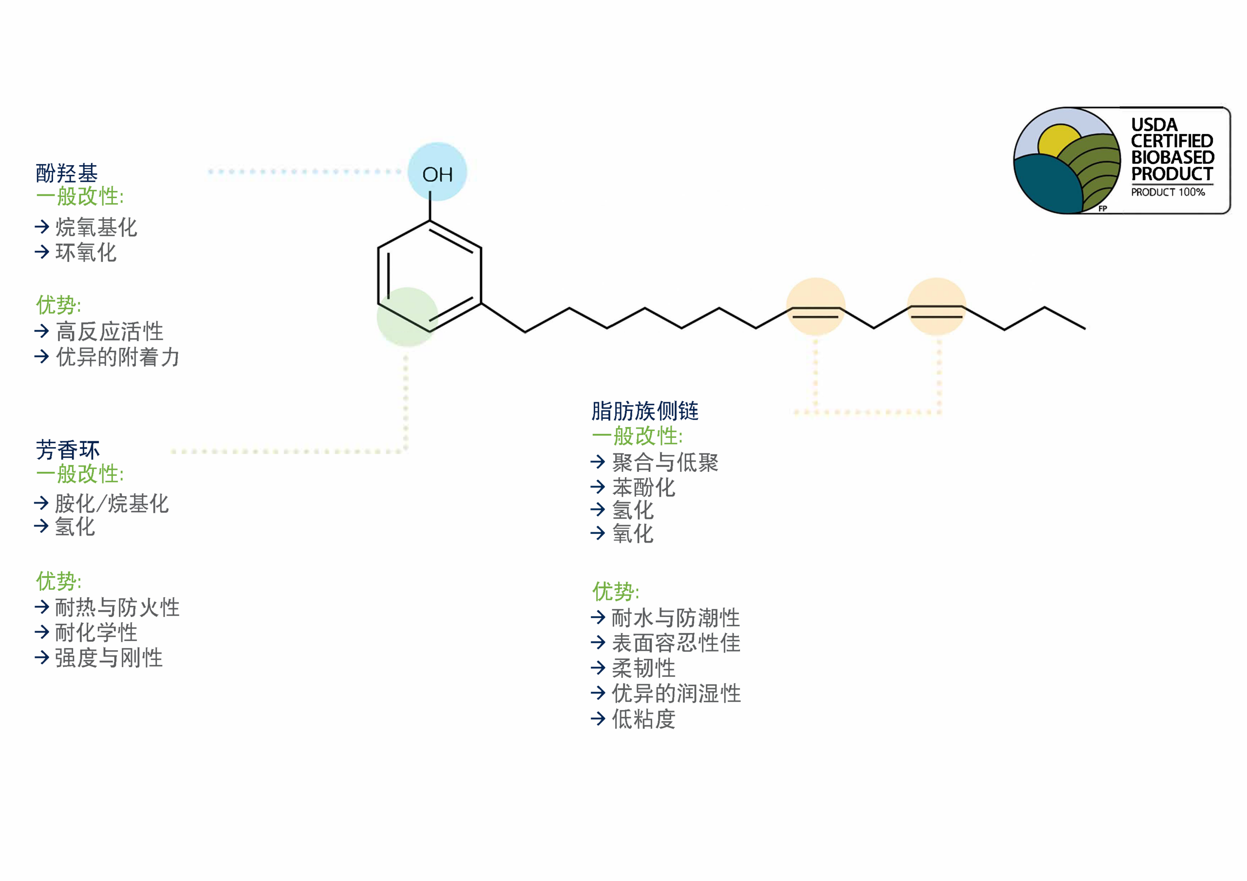 The structure of cardanol, the main component distilled from CNSL, and descriptions of the common modifications and benefits of each of the components of cardanol.
