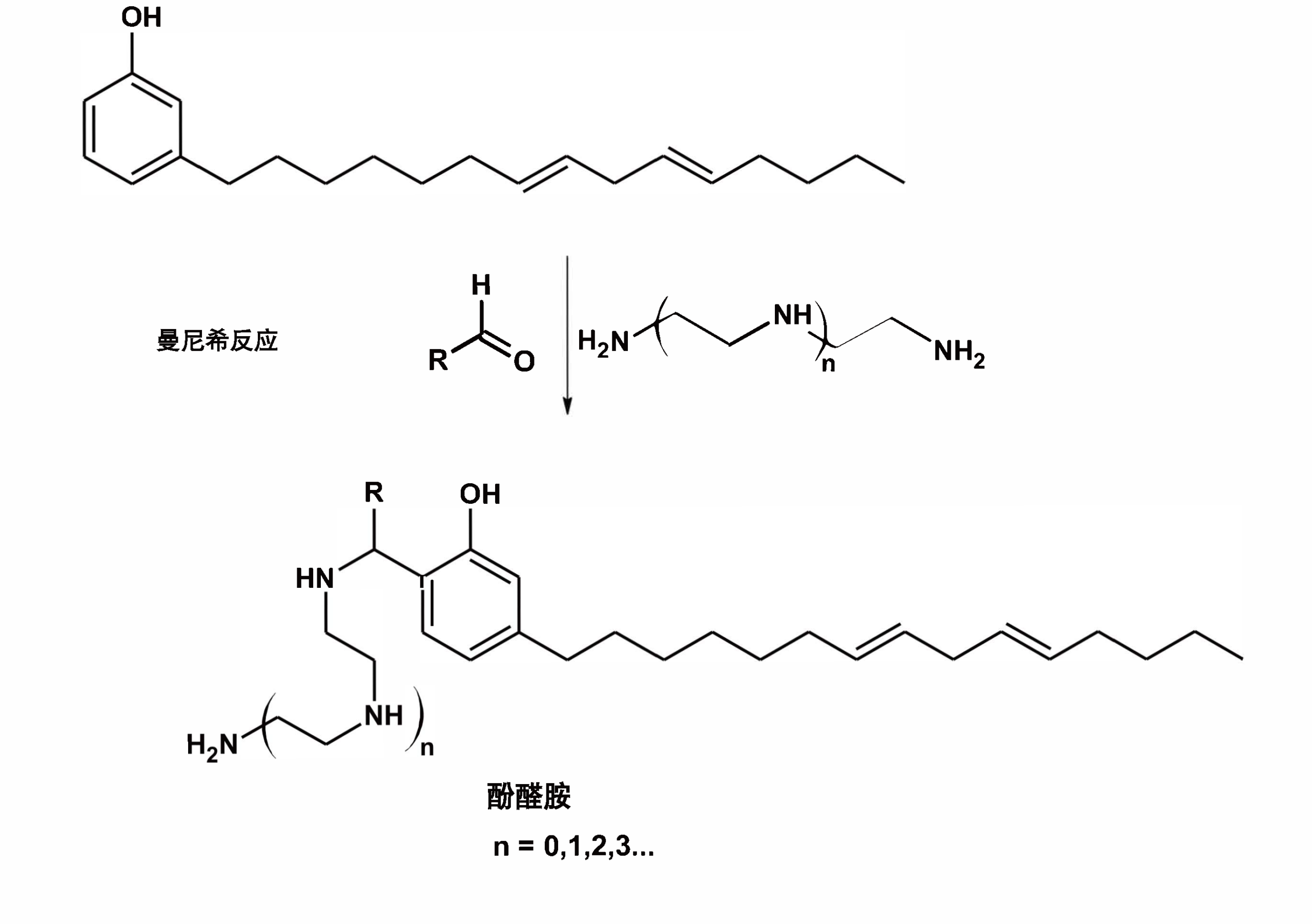 Cardanol structure before mannich reaction and phenalkamine structure after mannich reaction.